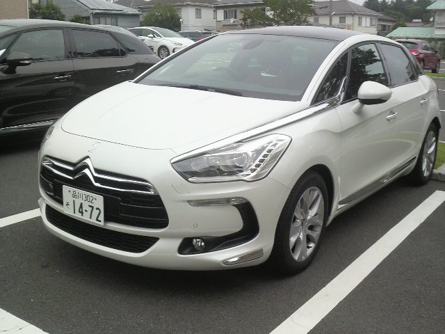 DS5写真UPです