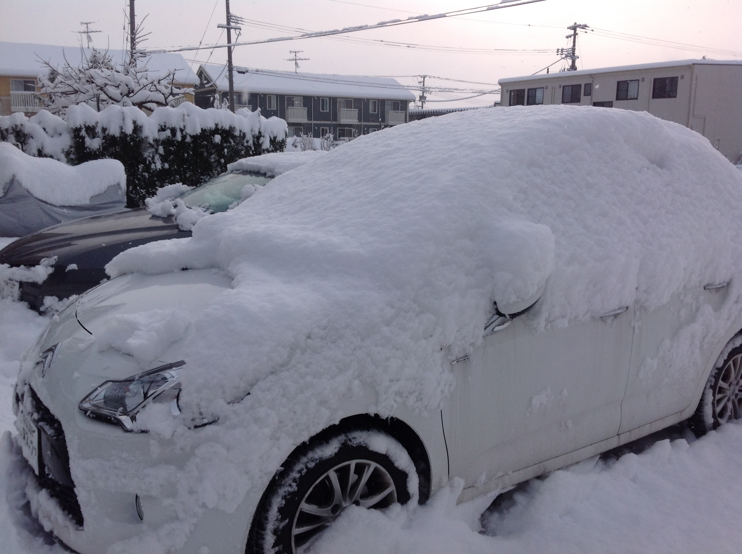 新潟市内のお天気は、