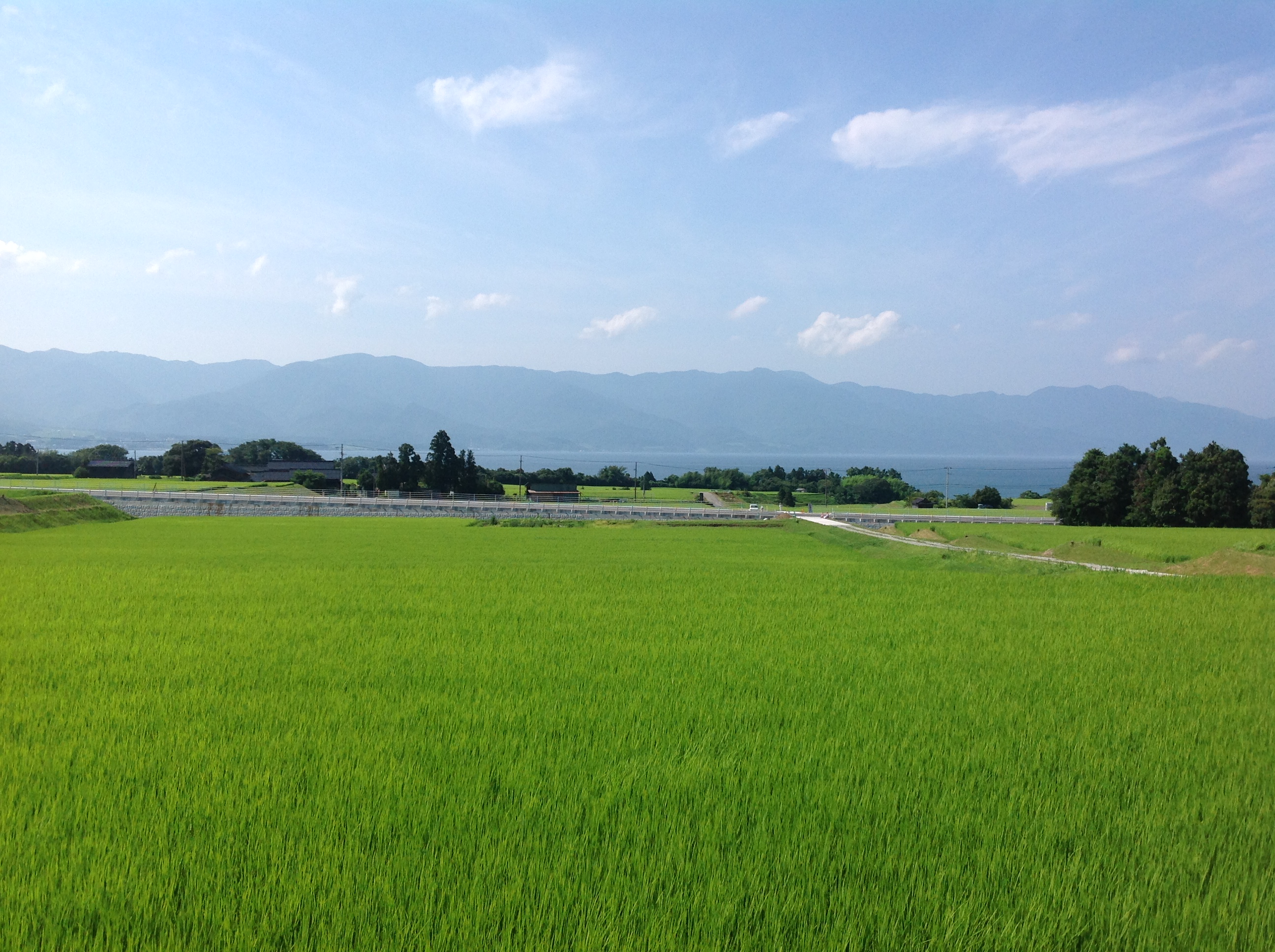 お墓参りに。