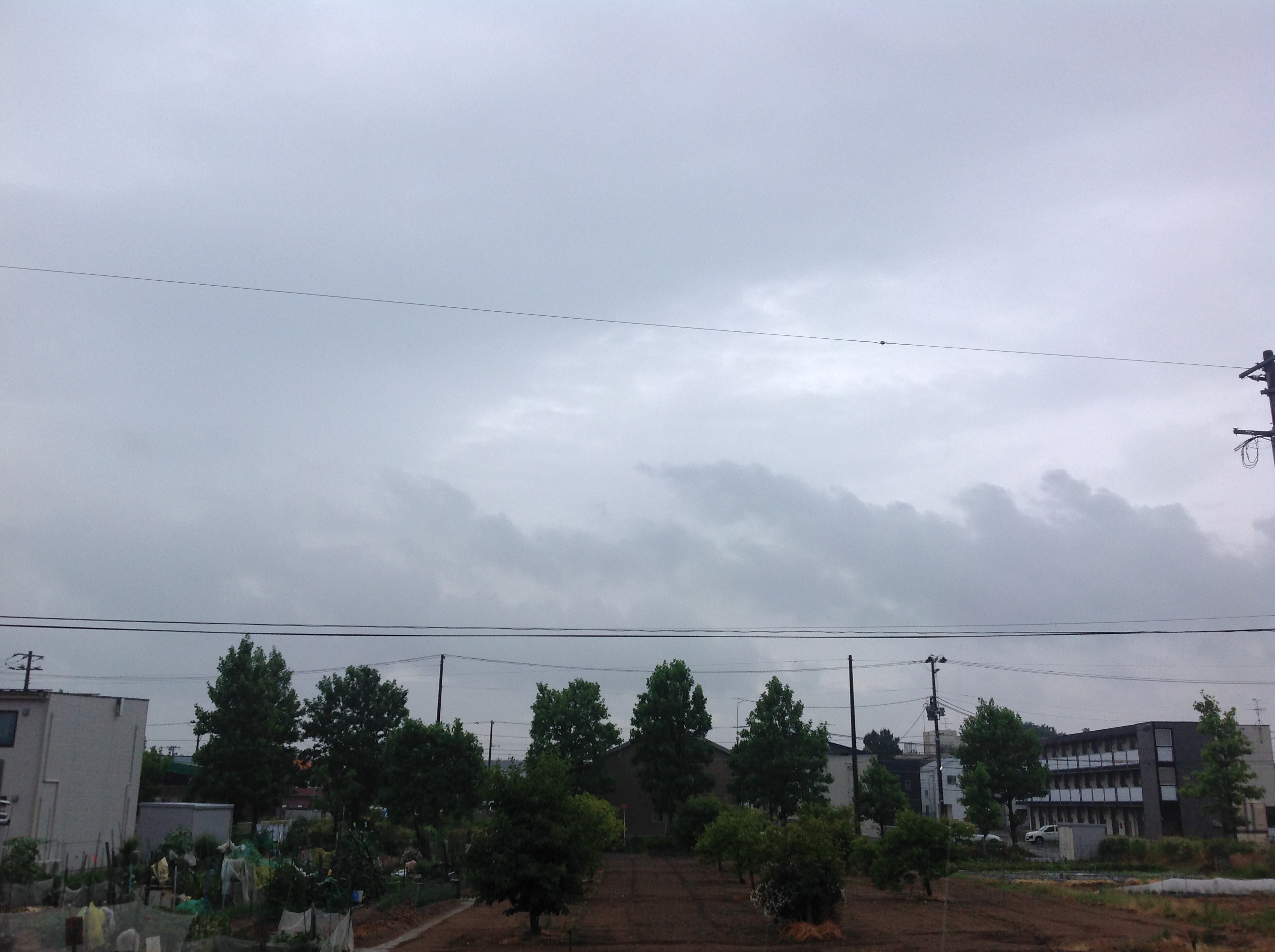 雨ですね。