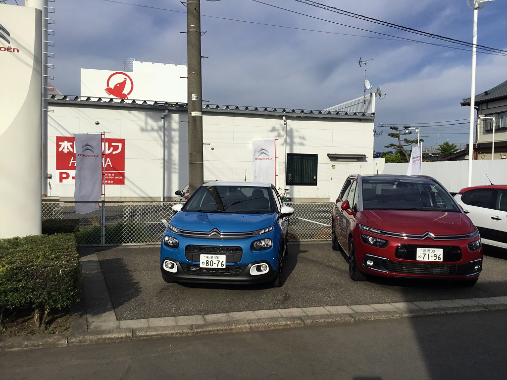 週末は！アピタ新潟西、出張展示会です