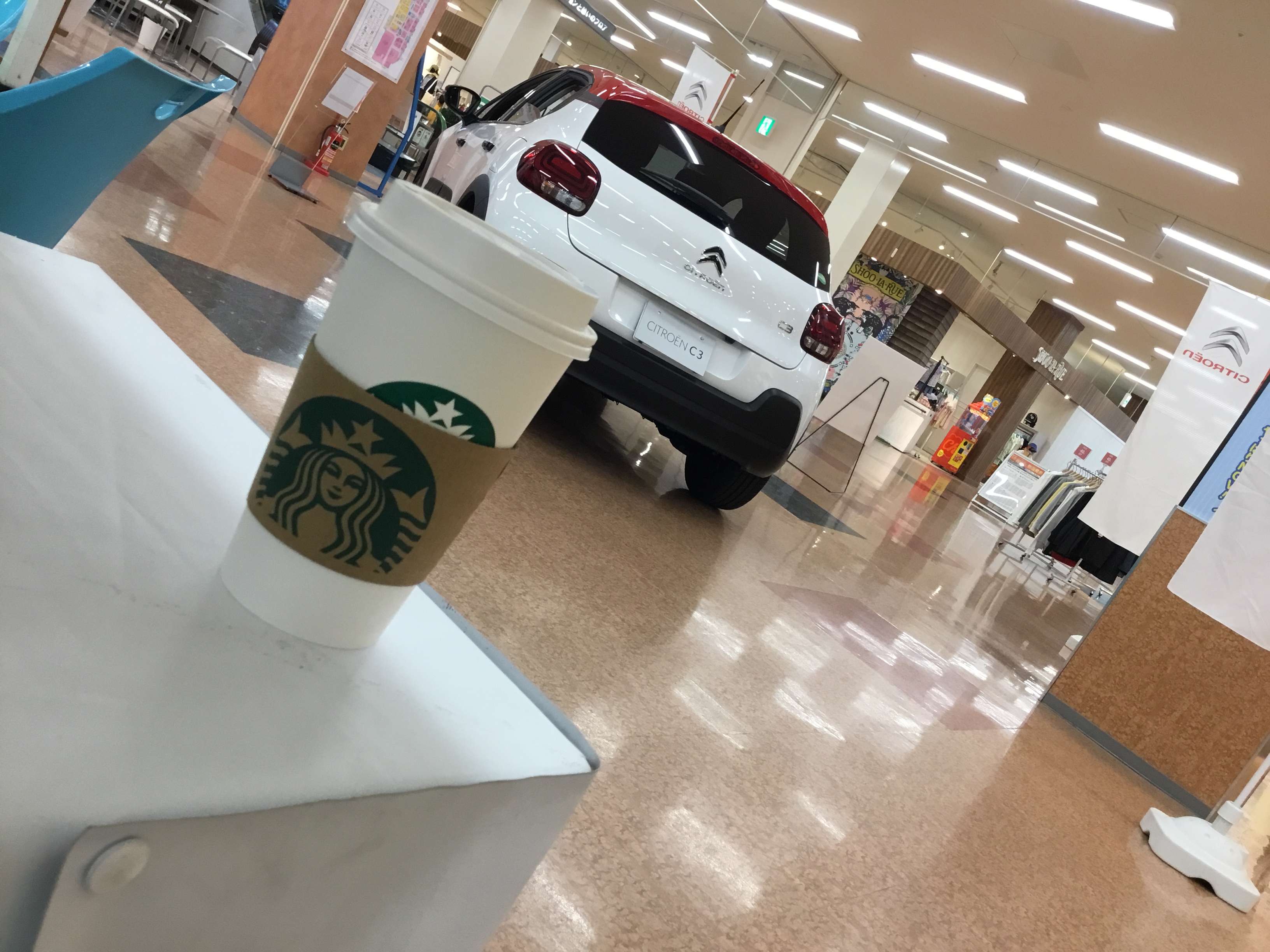 アピタ新潟西店出張展示会です差し入れ頂きました