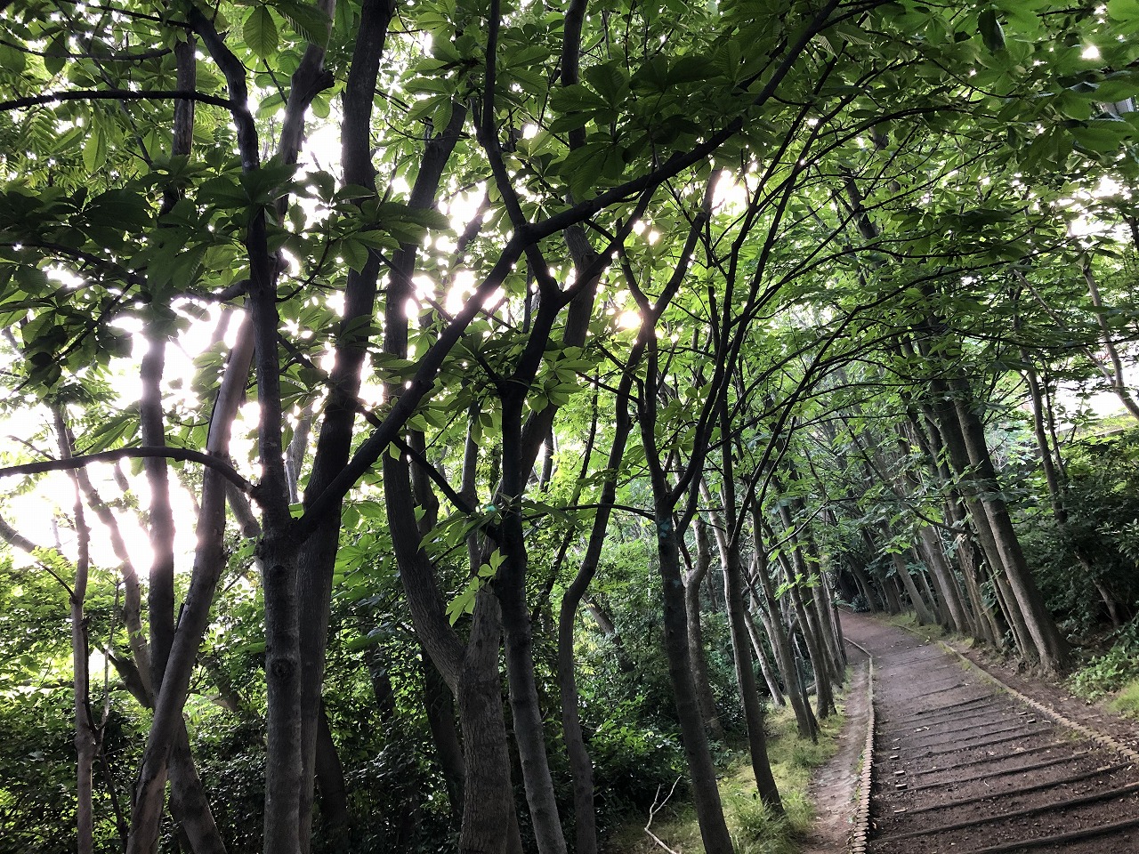 順調に続いています