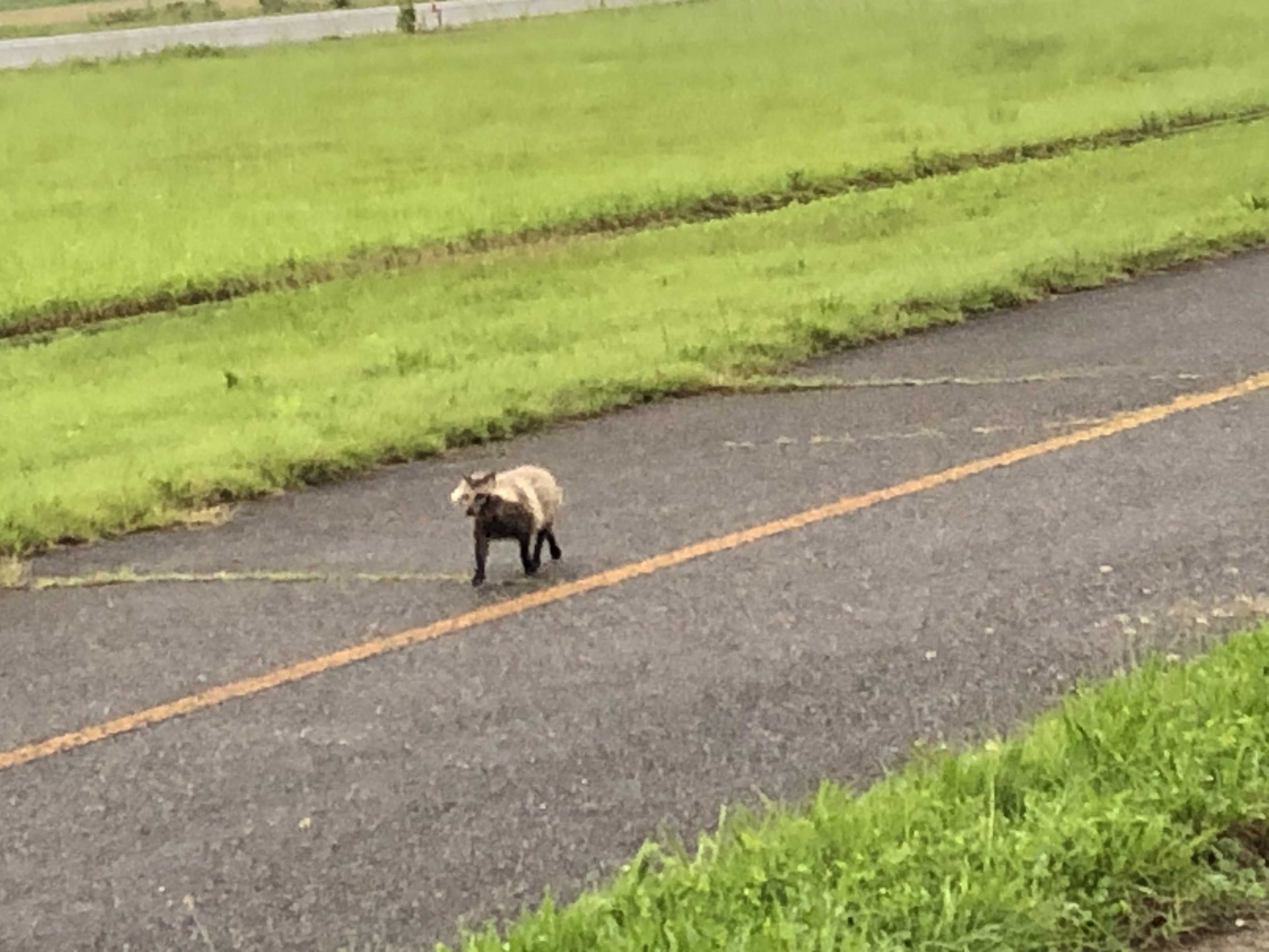 いるんですね。