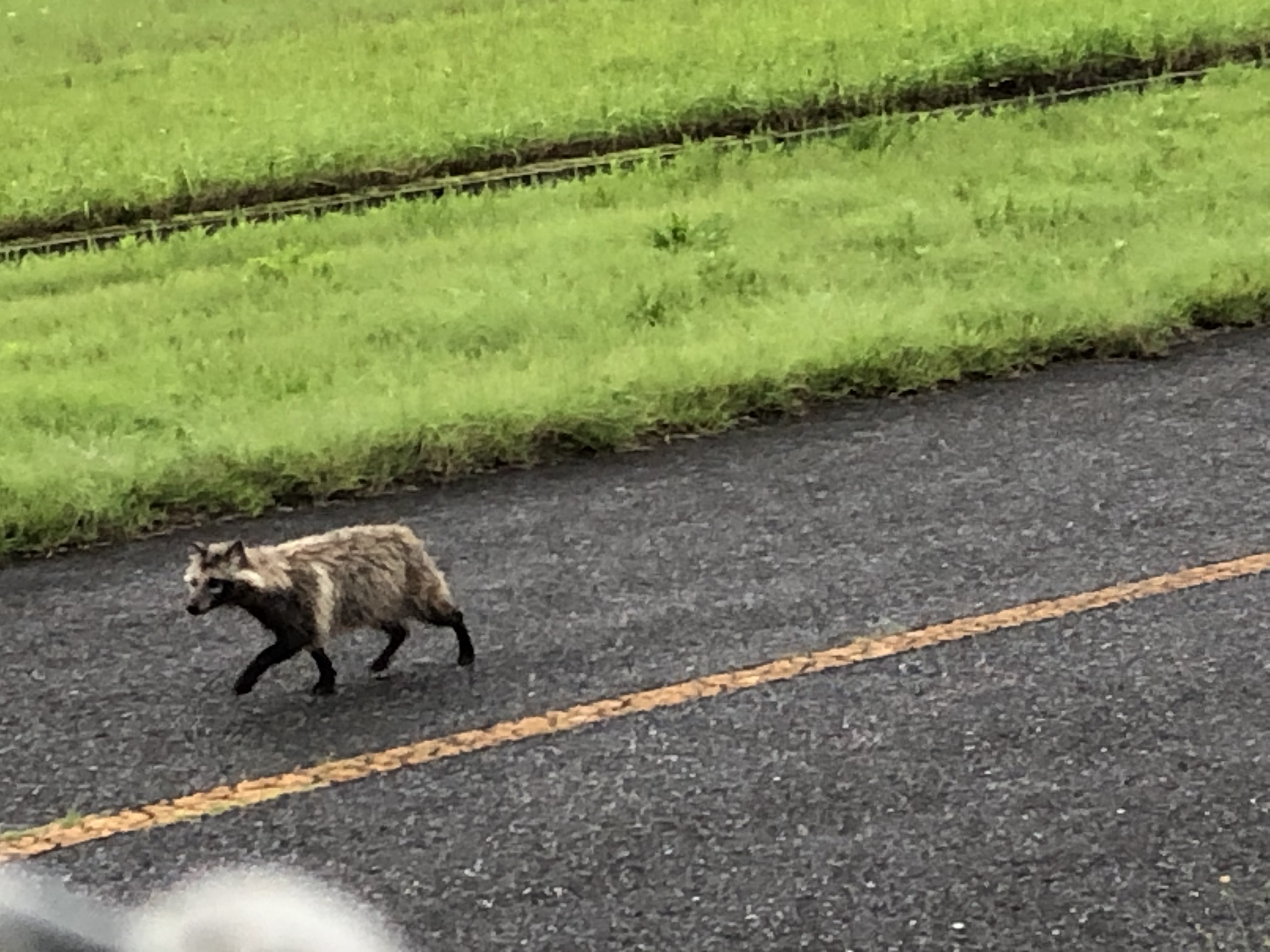 いるんですね。