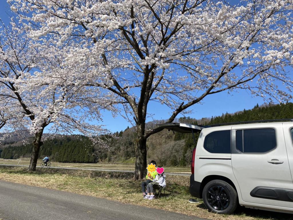 春の便りが届きました（笑）