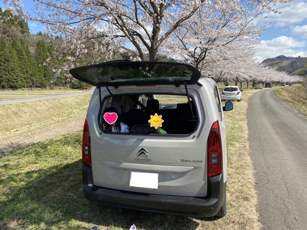 春の便りが届きました（笑）