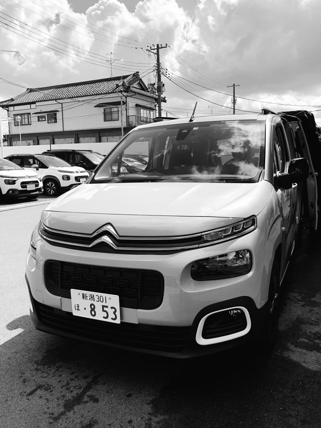 CITROEN BERLINGO ベットキット展示いたしております。