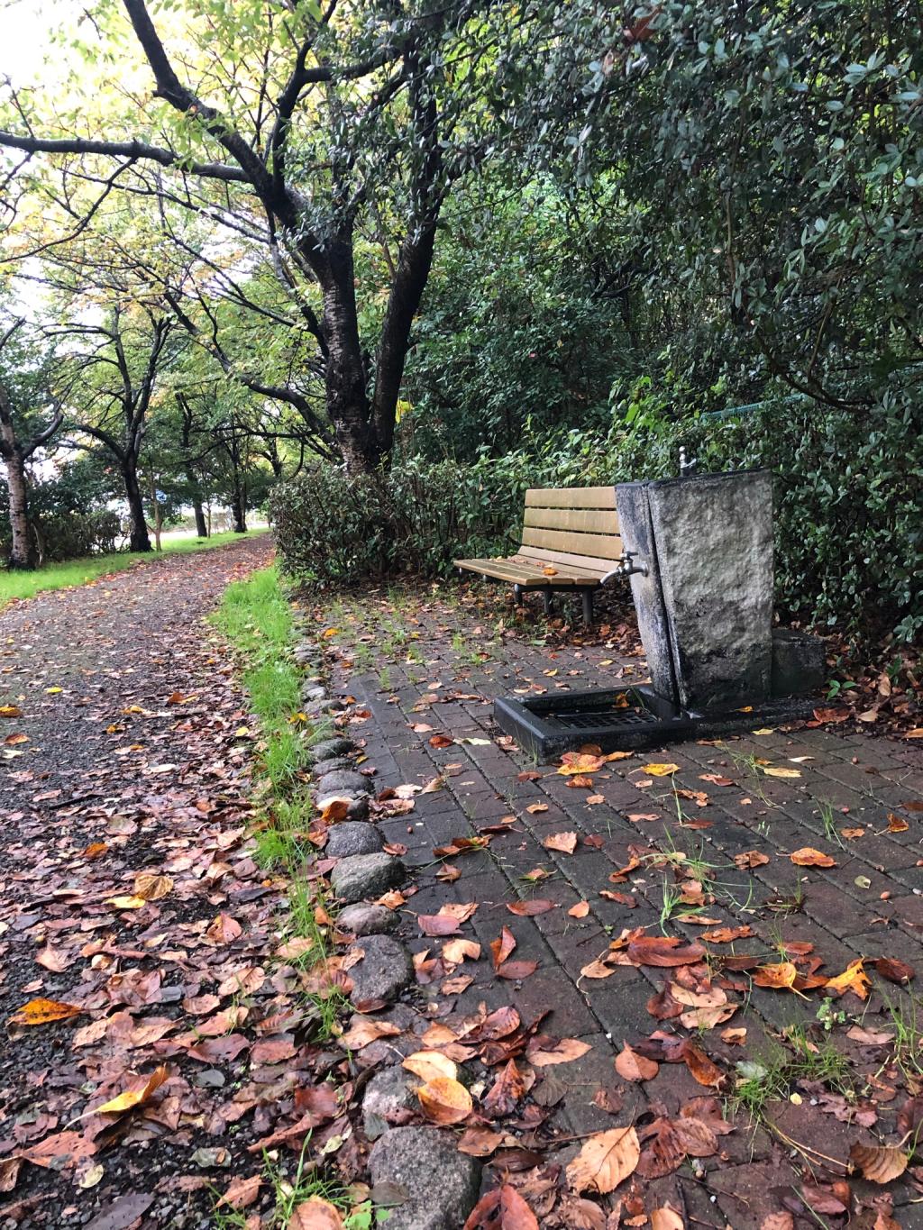 朝のウォーキング。