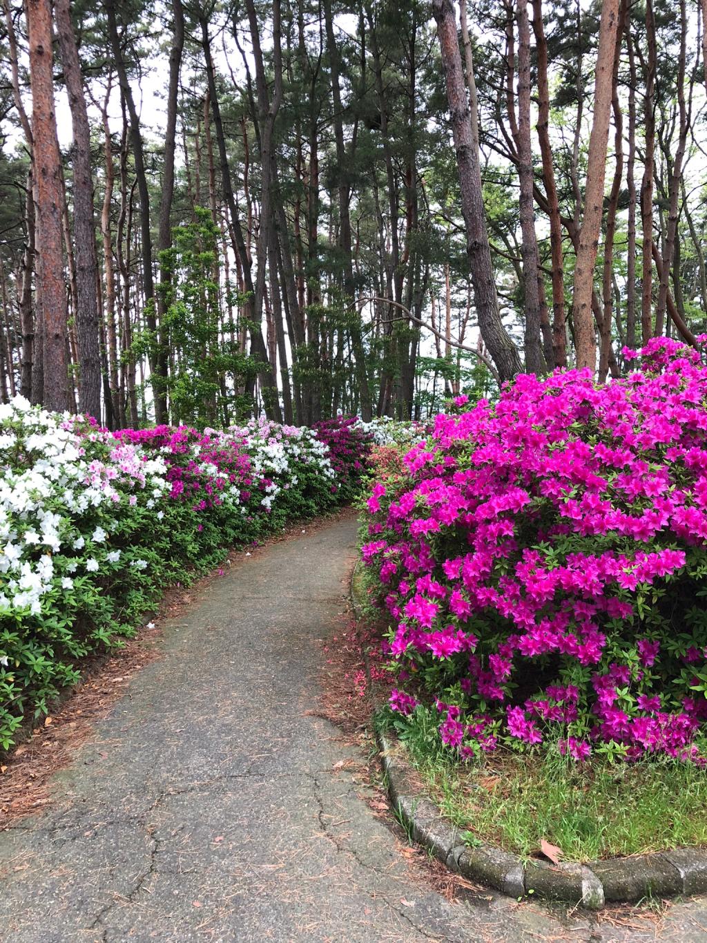 過ごしやすい季節ですね。