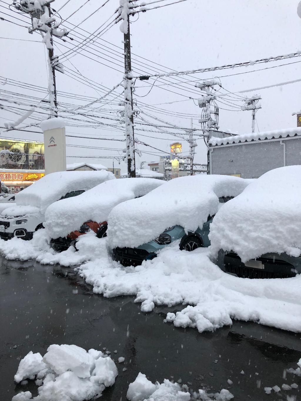 大雪警報