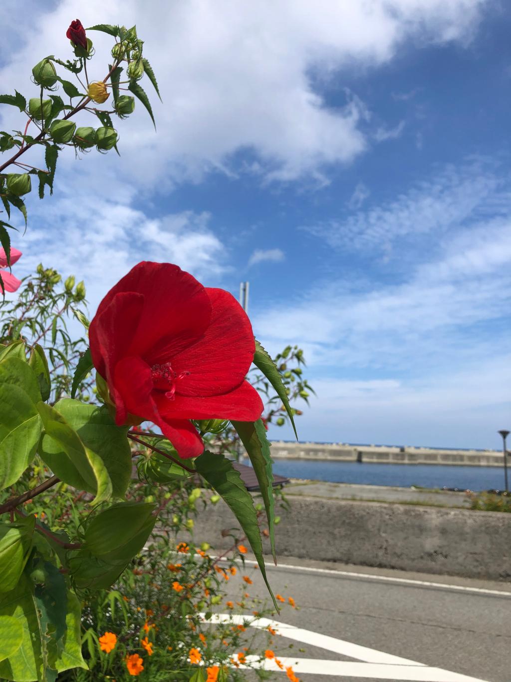 【夏季休業のお知らせ】8月12日（月）～15日（木）