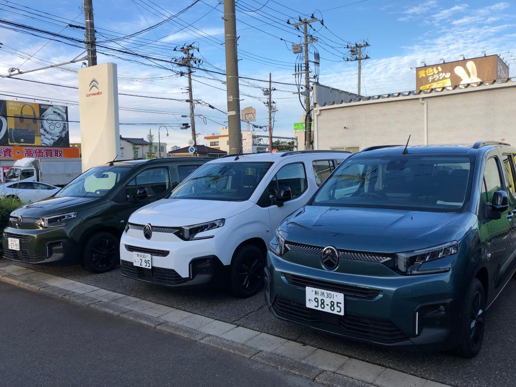 🚗 今週末2日間限定！ご成約スペシャルオファー！