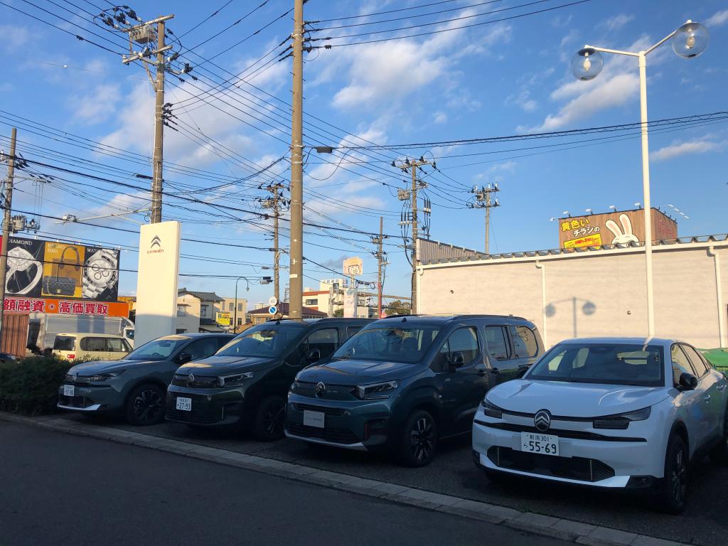 2025年もありがとうございました｜年内最後の営業日を迎えて