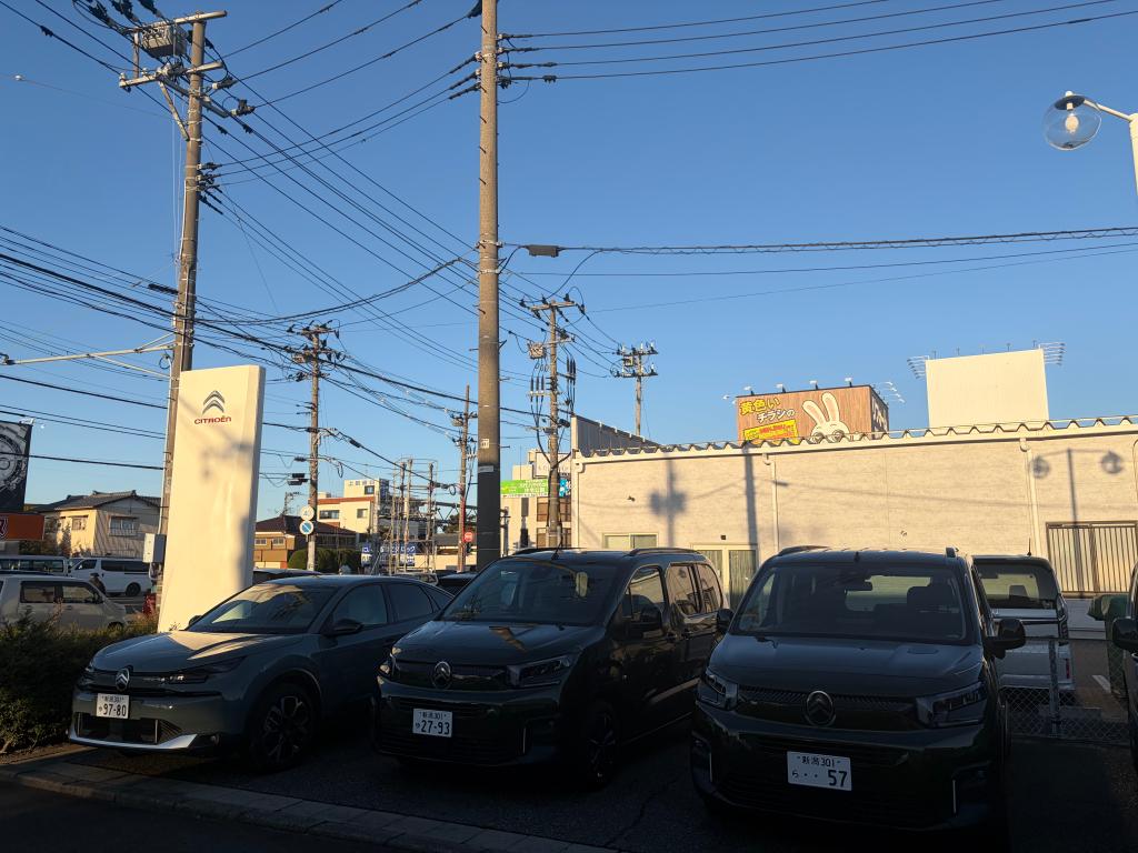 明日23日（祝）も通常営業いたしております。