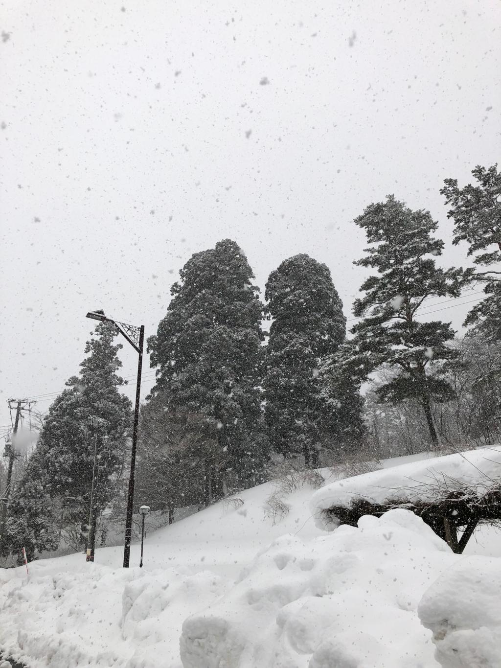 今日最後の仕事です。。