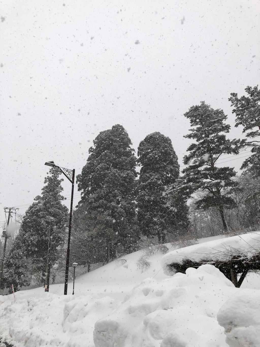 今日最後の仕事です。。