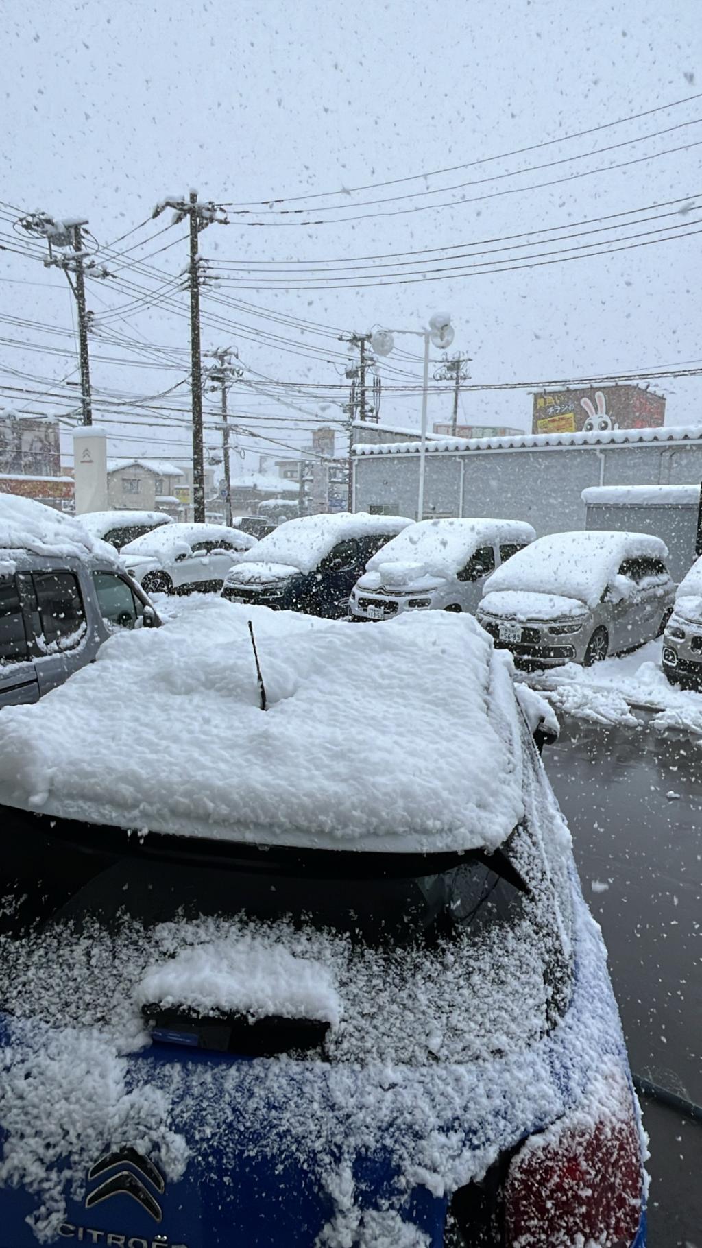 事故にお気をつけください‼️