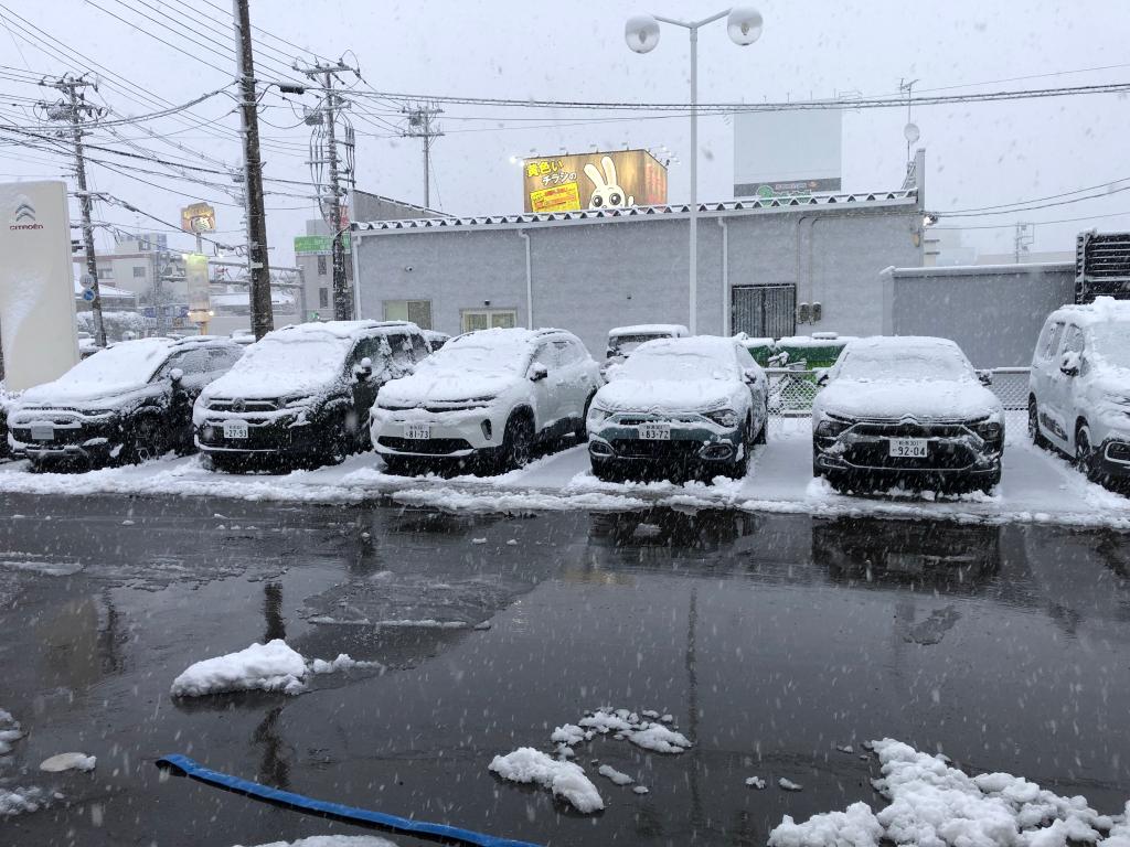 新潟市中央区積雪情報