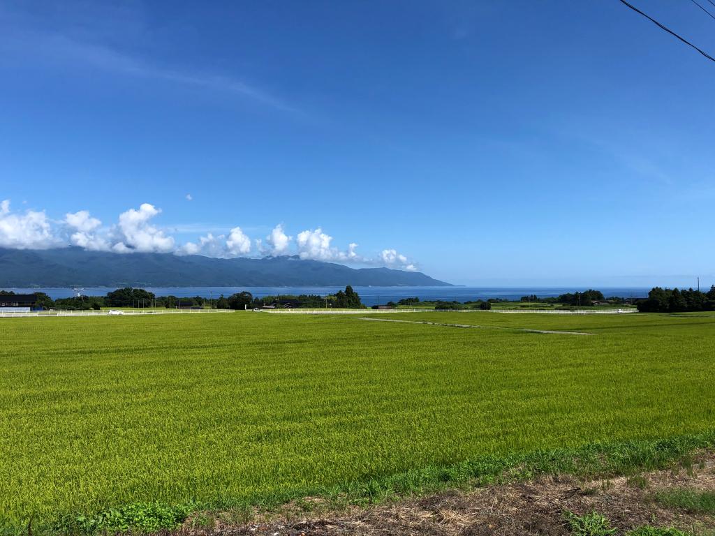 GWに向けて春のドライブ前のおすすめチェックポイント！